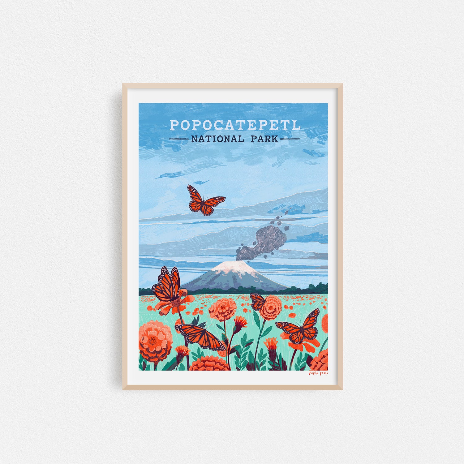 Popocatepetl National Park Artists Print