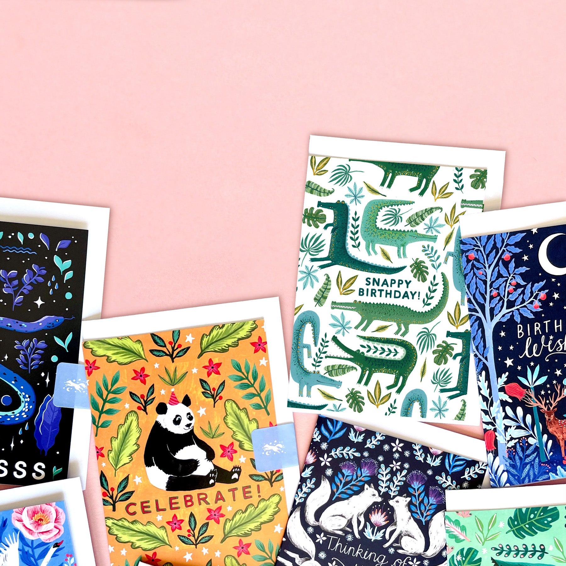 A photograph of a collection of Papio Press greetings cards. One says 'Celebrate, the other says 'Snappy Birthday'.