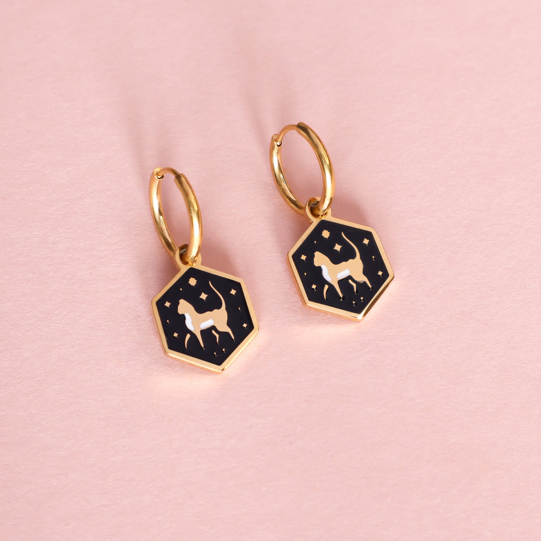 Mini Hexagon Cat Hoop Earrings
