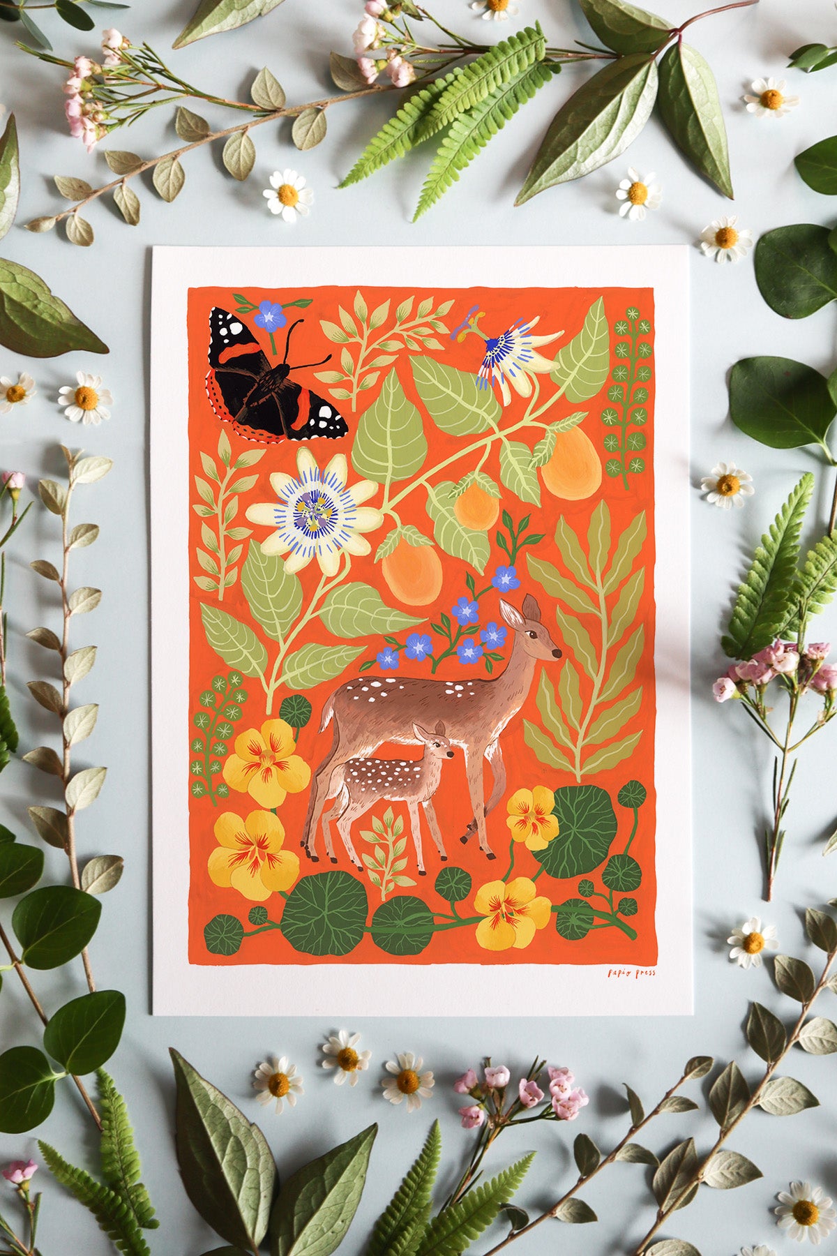 Deer and Fawn Artists Print