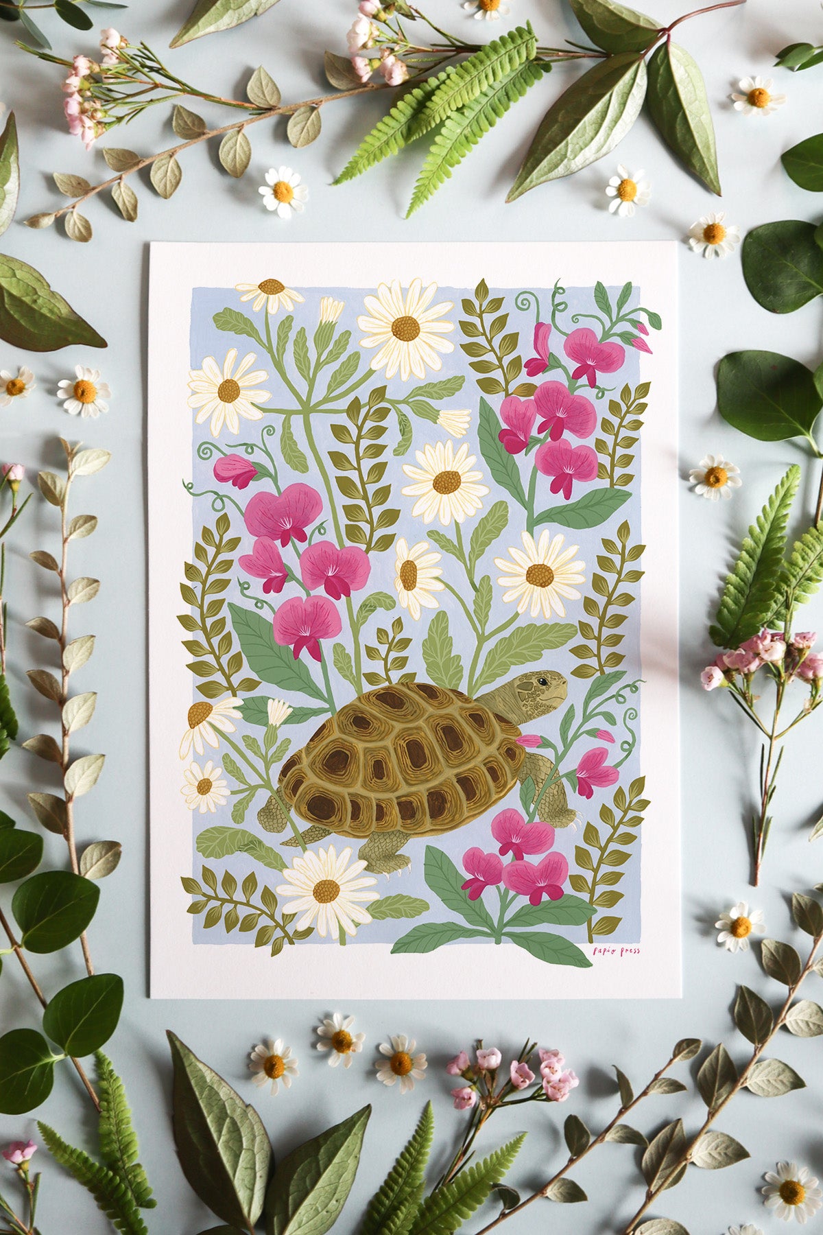 Floral Tortoise Artists Print