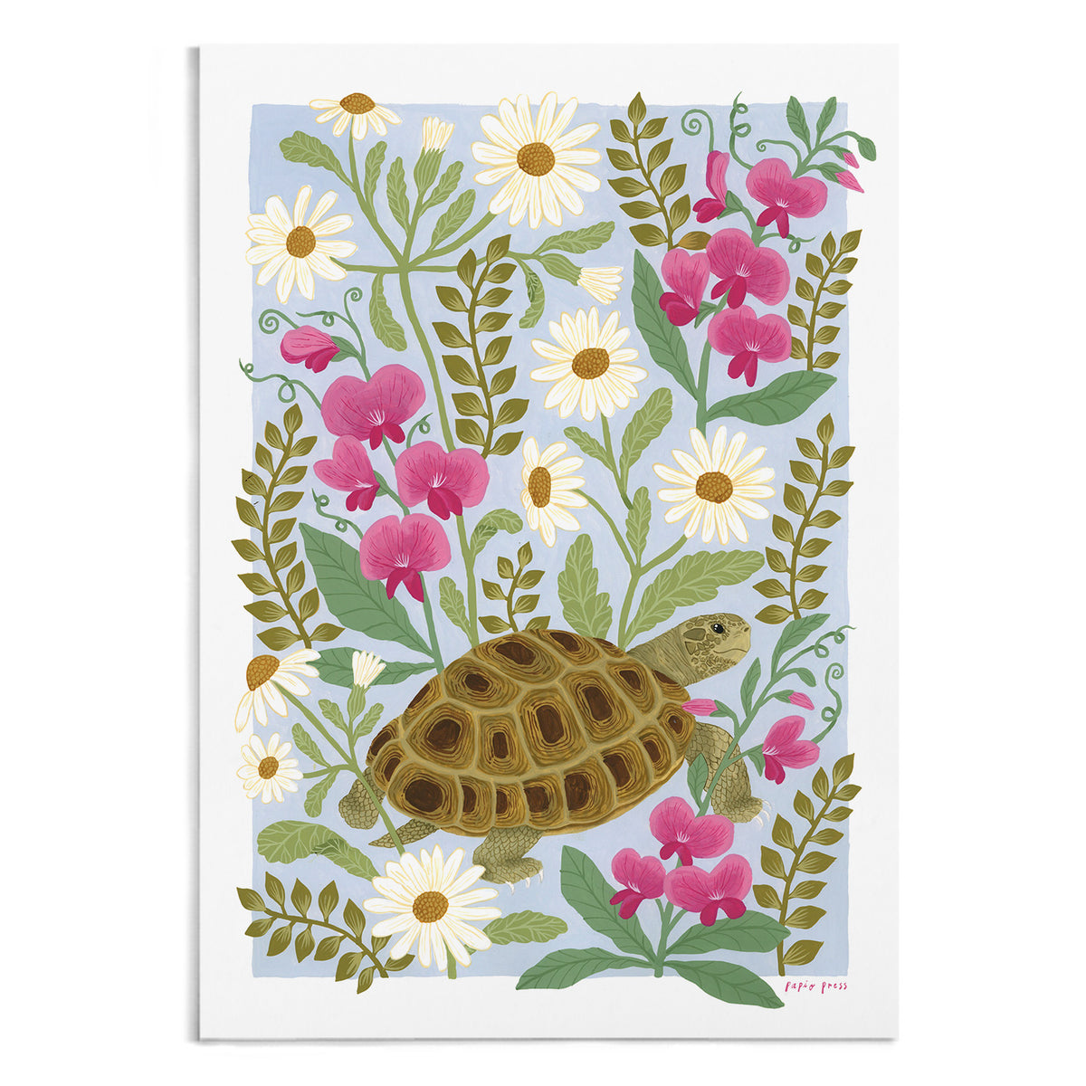 Floral Tortoise Artists Print
