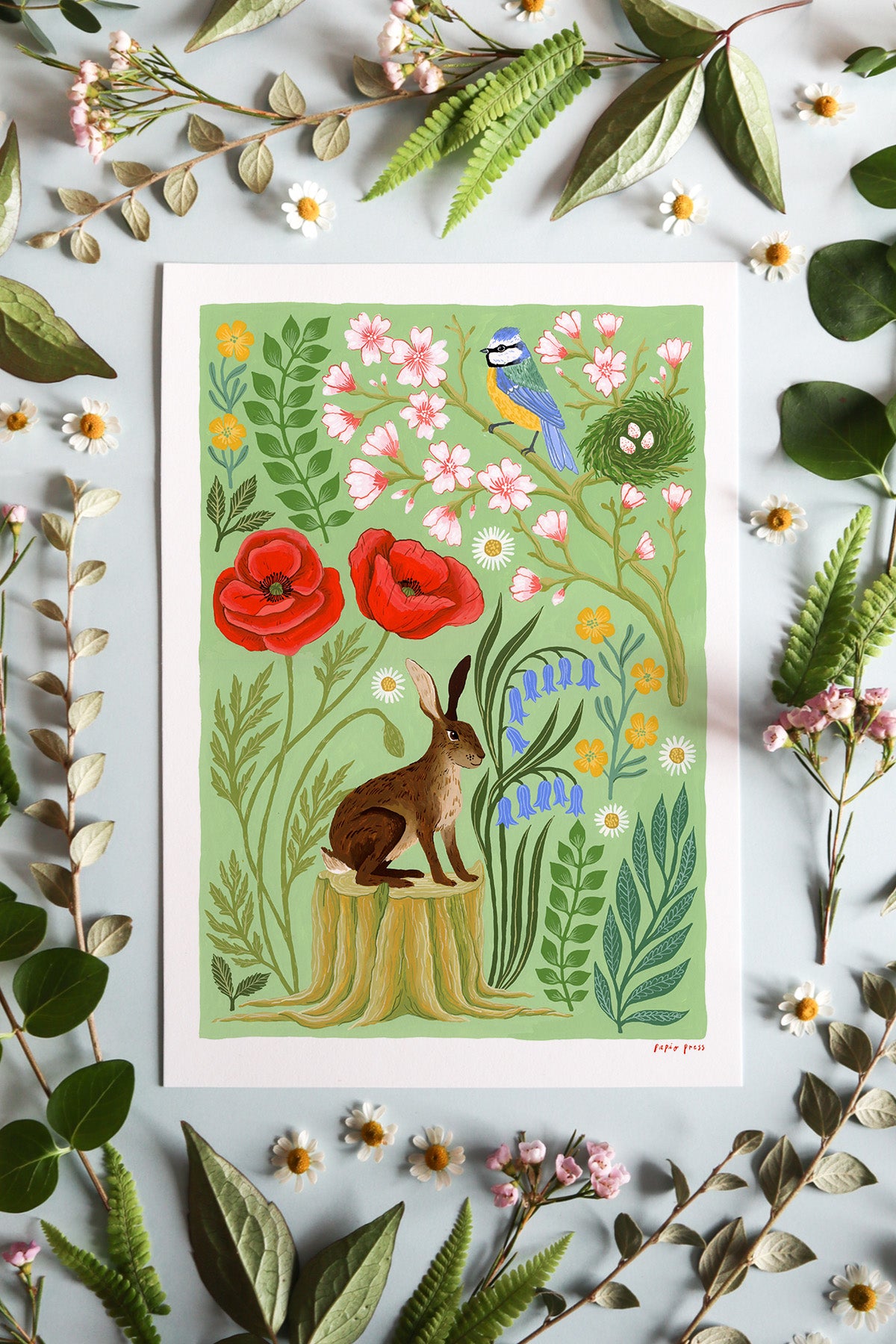 Hare in Spring Artists Print
