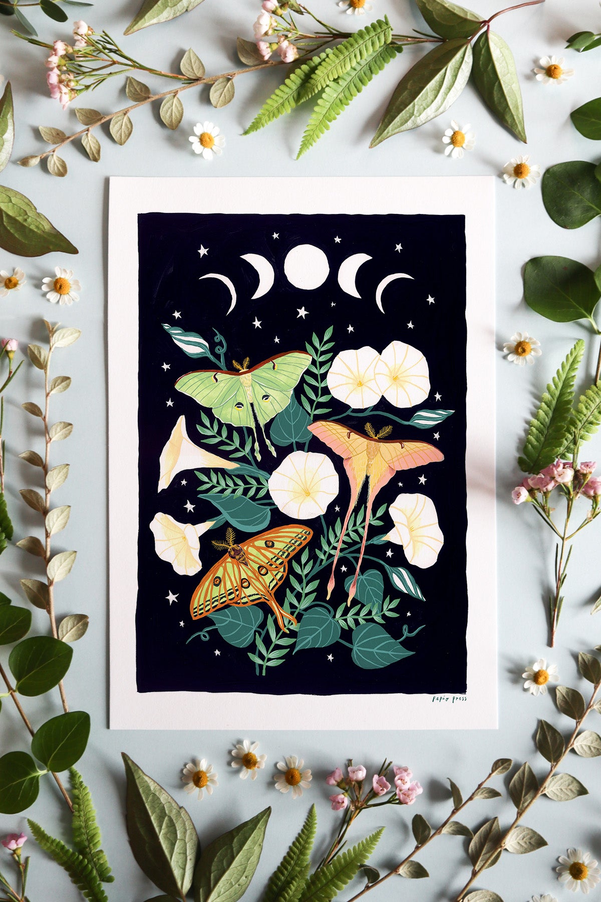 Lunar Moths Artists Print