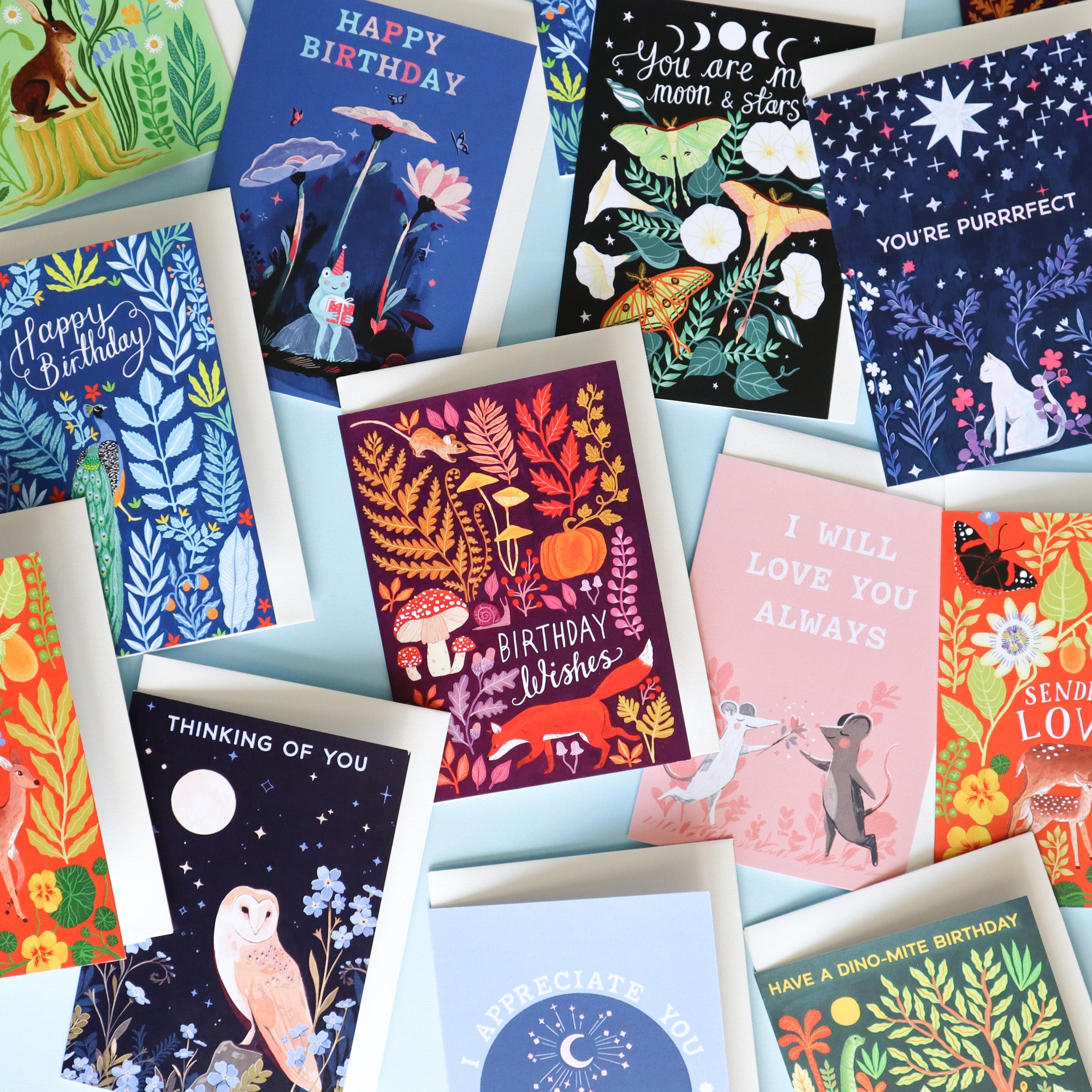 A selection of Papio Press Greetings cards on a blue background. It includes, Birthday, sympathy and love cards.