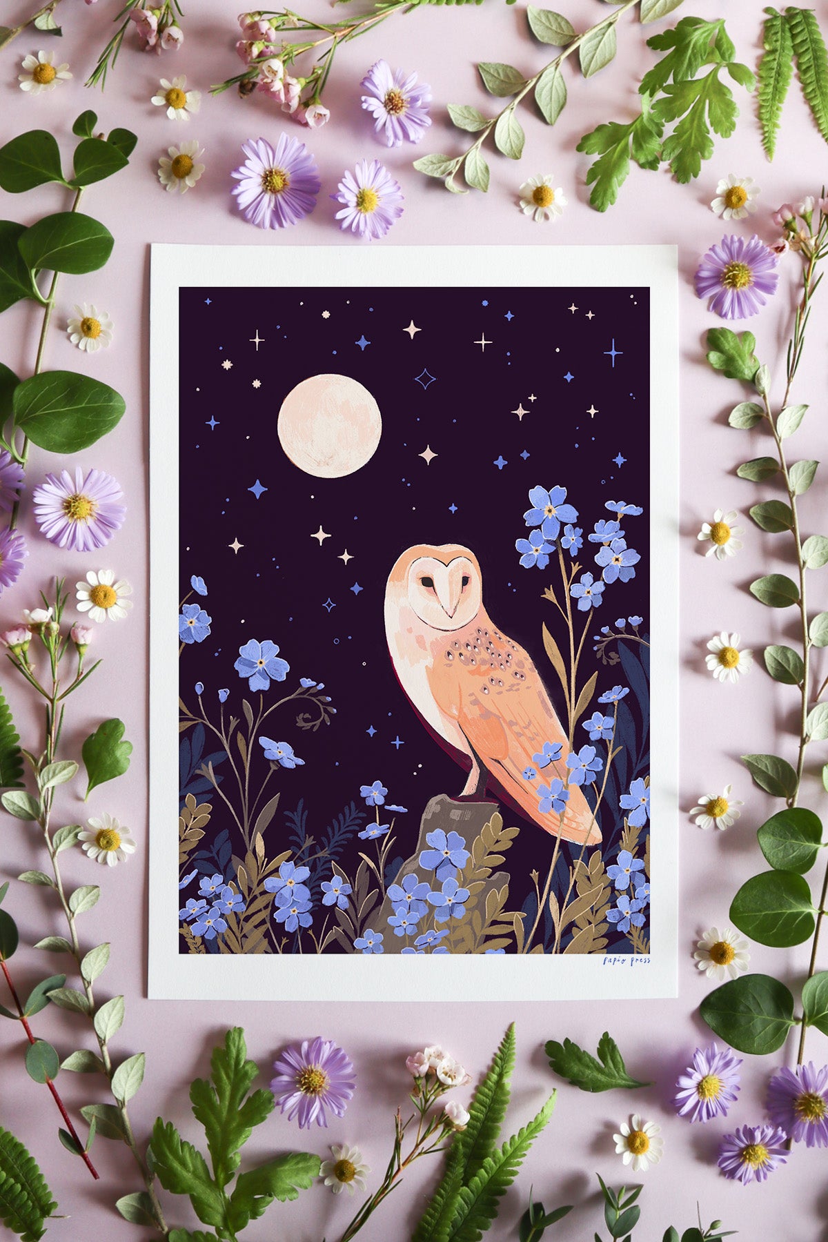 Floral Owl Artists Print