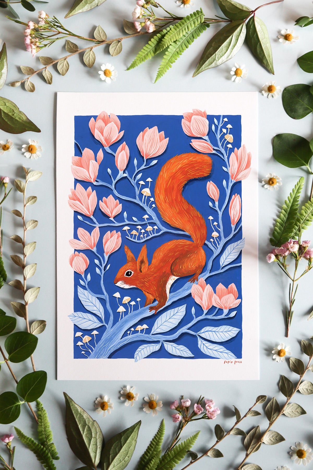 Red Squirrel Artists Print