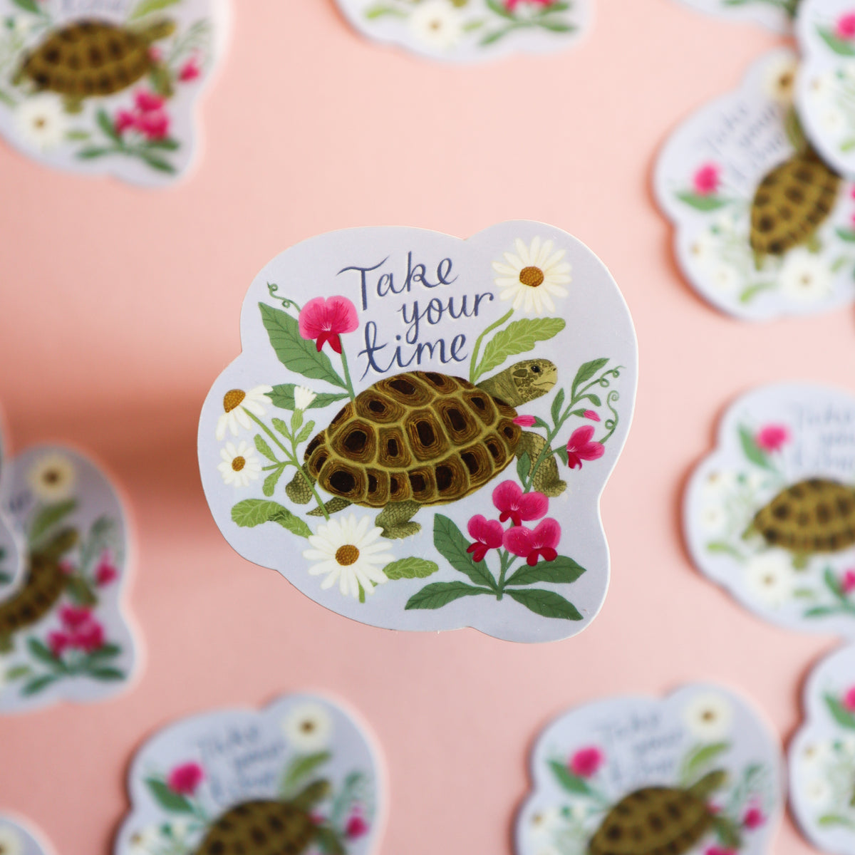 A light blue die cut sticker featuring a tortoise and the text 'take your time'.