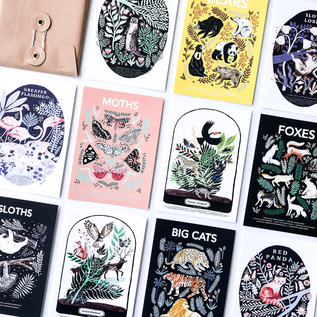 A collection of postcards featuring animals. E.g. Otters, bears, moths, foxes, big cats, sloths, red pandas and flamingos.