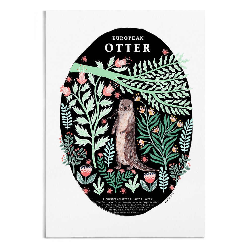 A natural history painting of an otter surrounded by green and pink foliage.