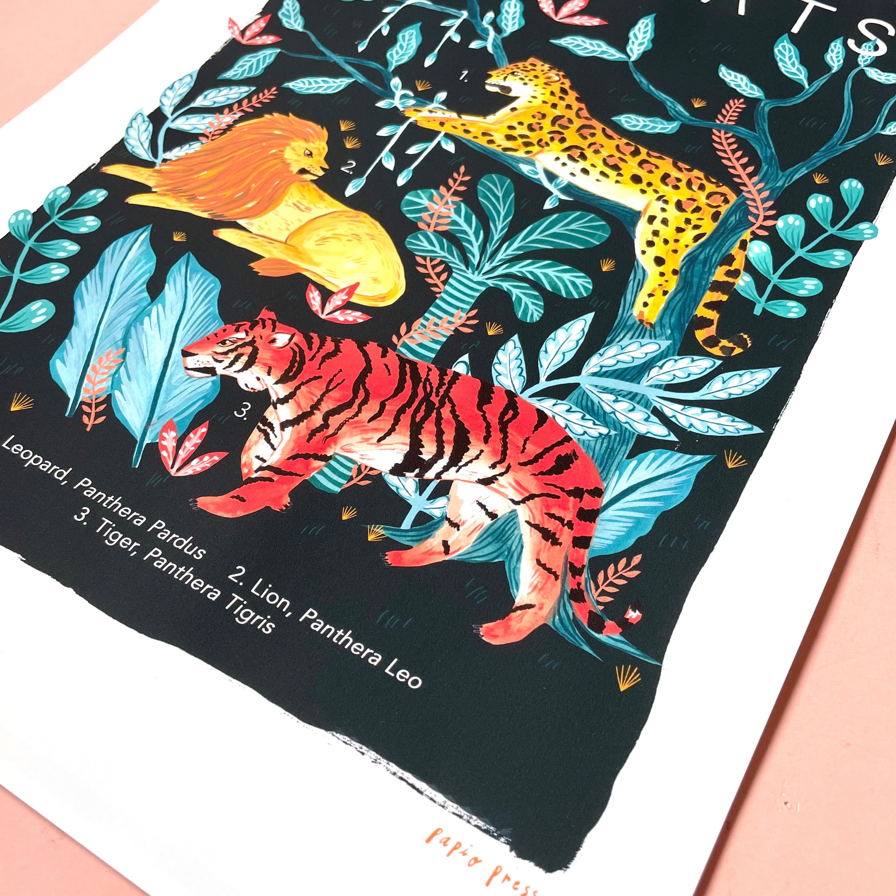 Big Cats Natural History Print Artists Print