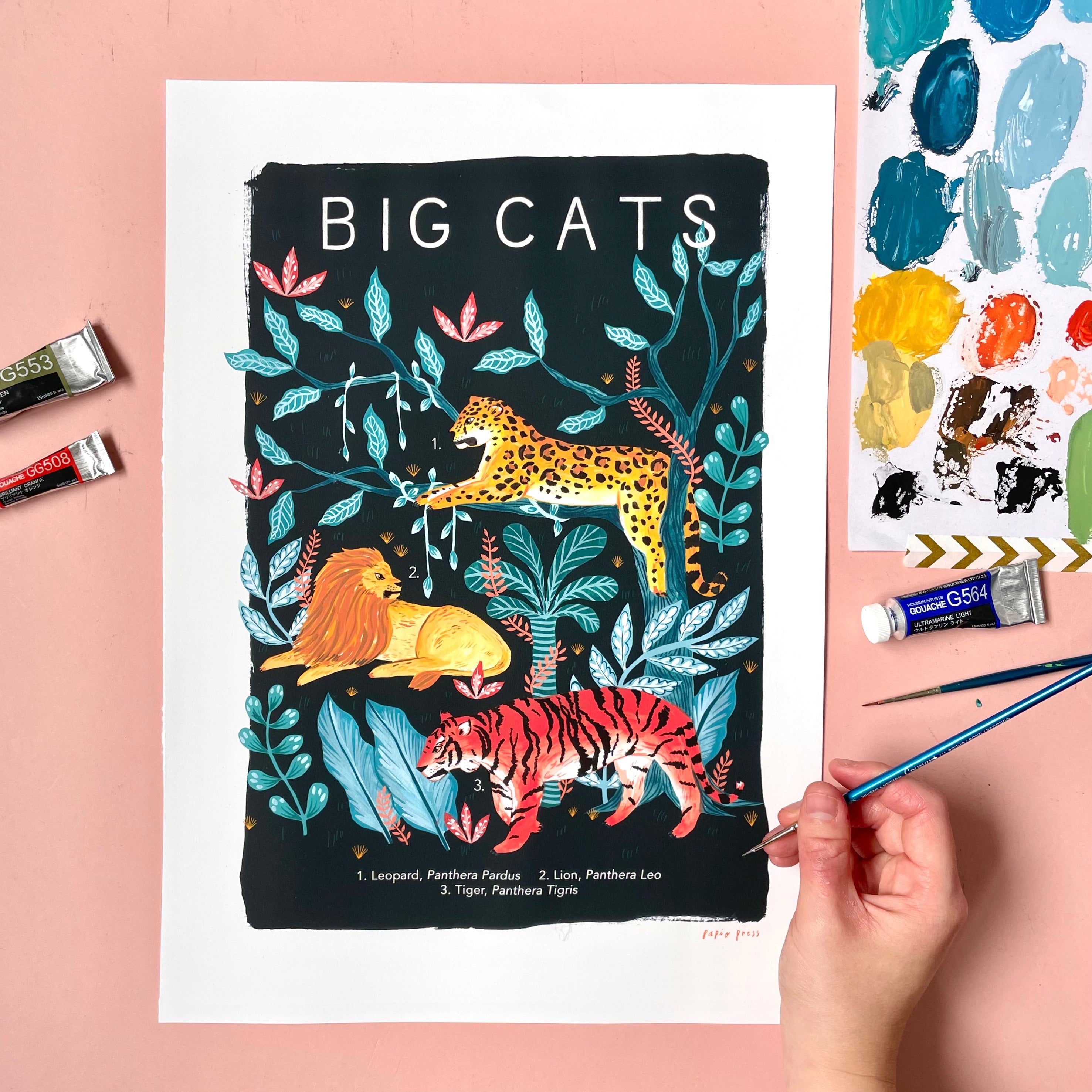 Big Cats Natural History Print Artists Print