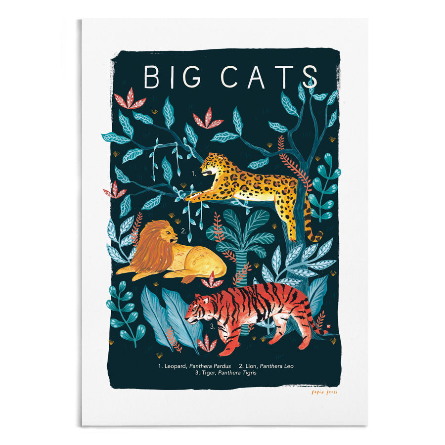 Big Cats Natural History Print Artists Print