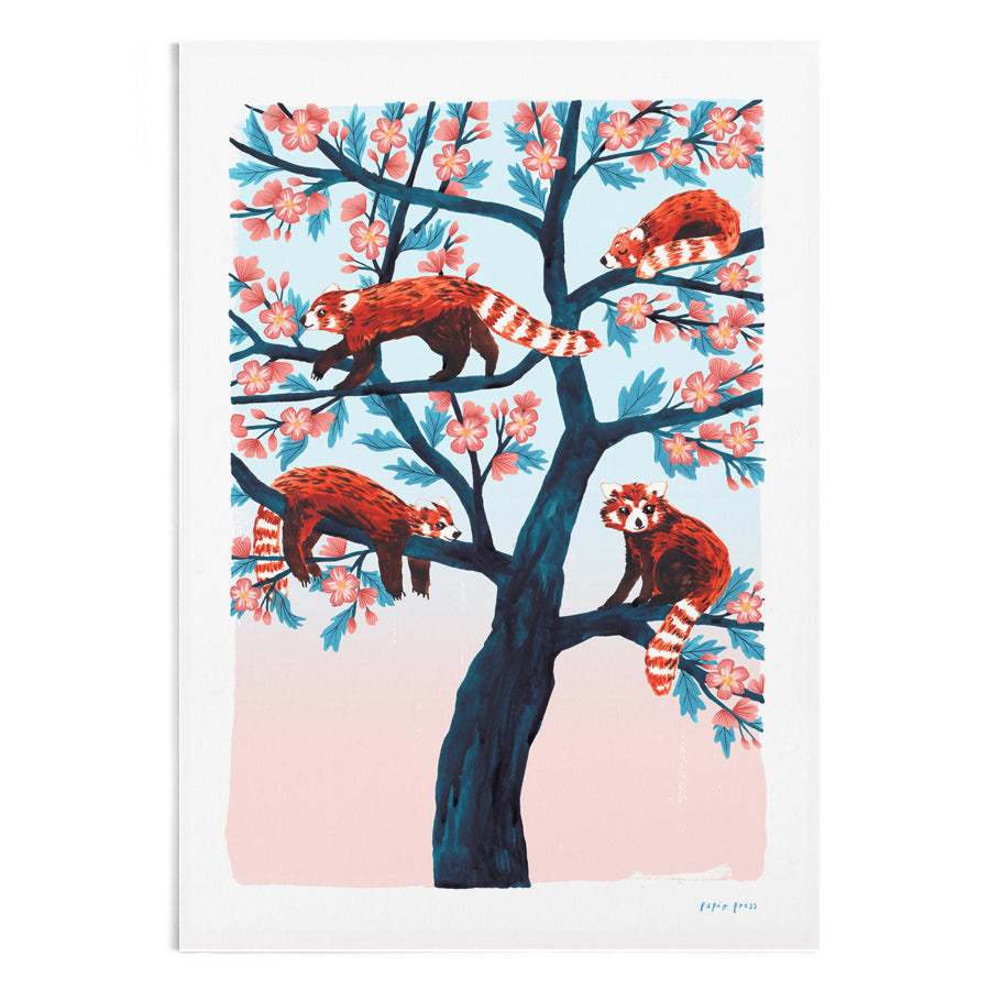 A watercolour painting of 4 red pandas in a tree.