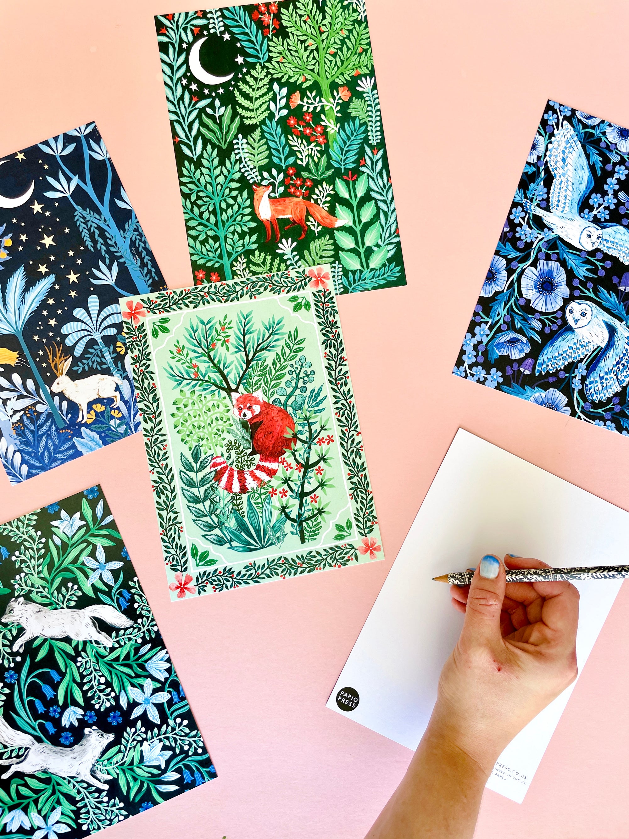 5 Large Papio Press A5 Postcards with Floral Creatures Illustrations